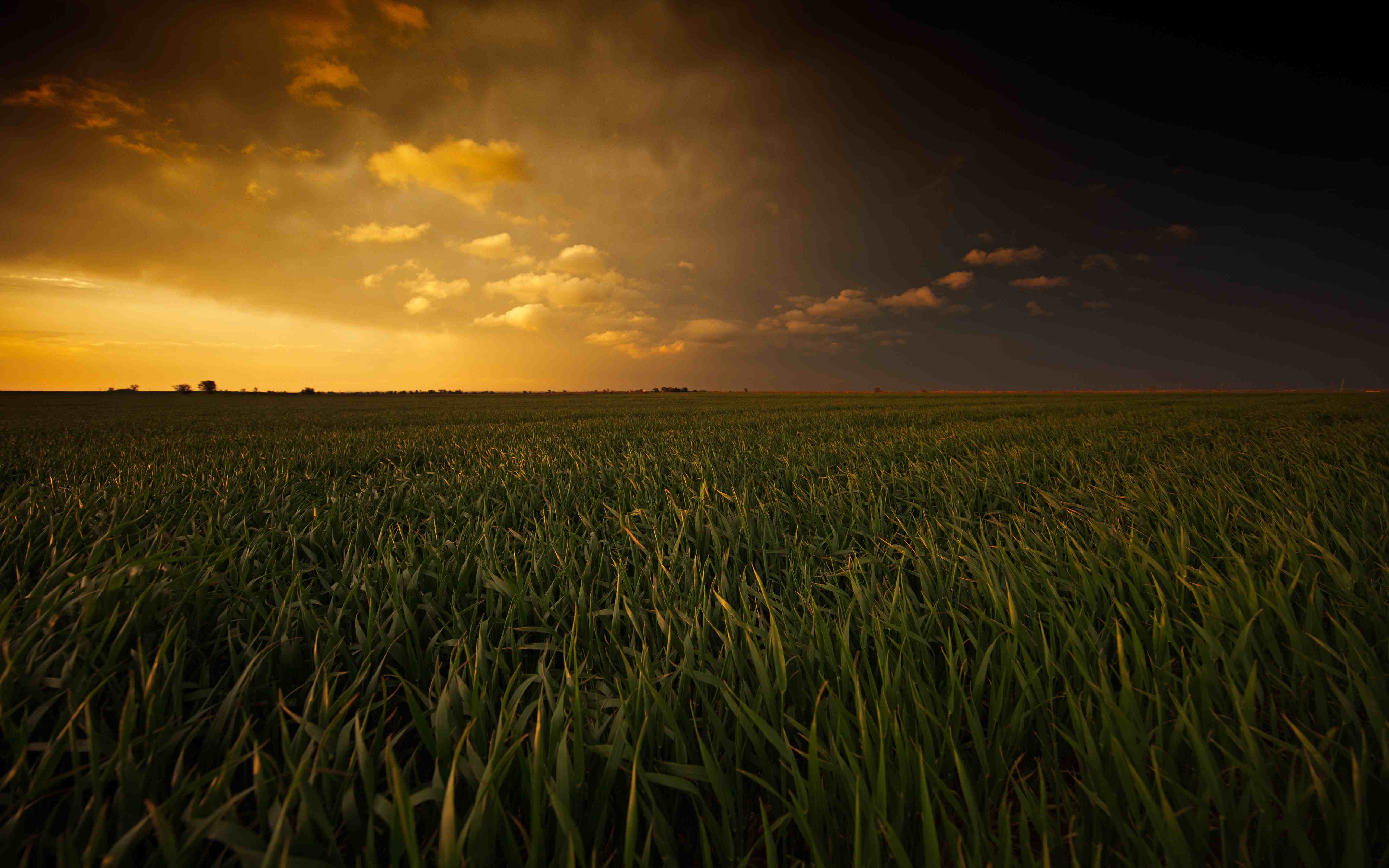 Linux安装部署SVN