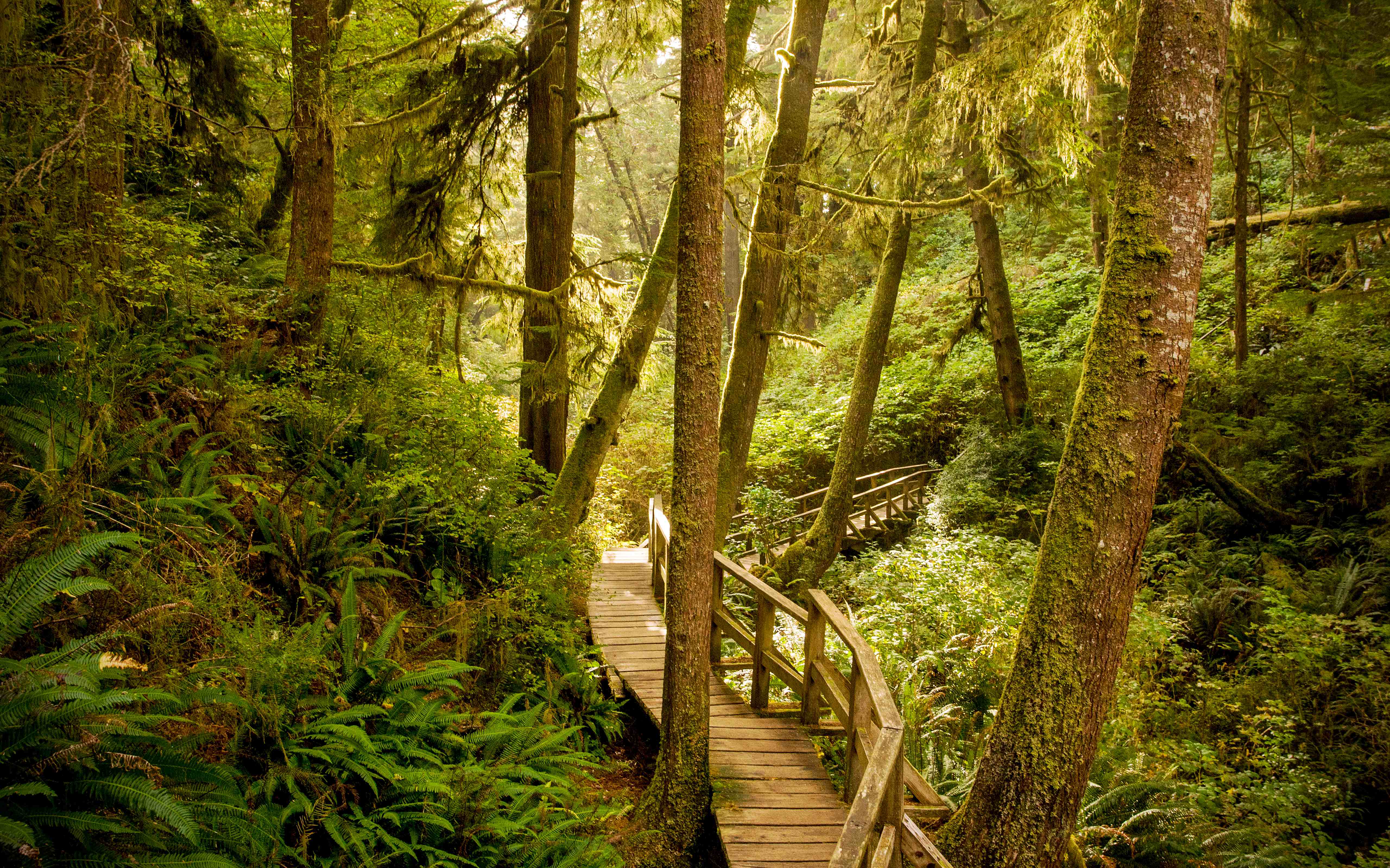 Python创建虚拟环境